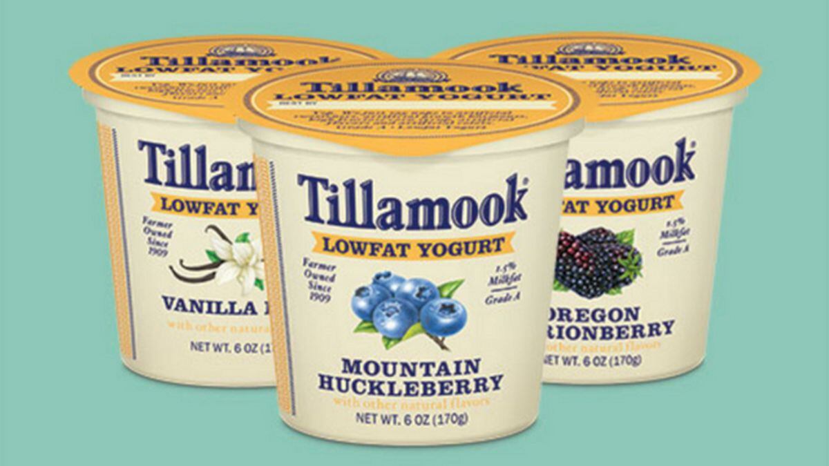 Tillamook opens new, improved creamery to visitors on Oregon coast