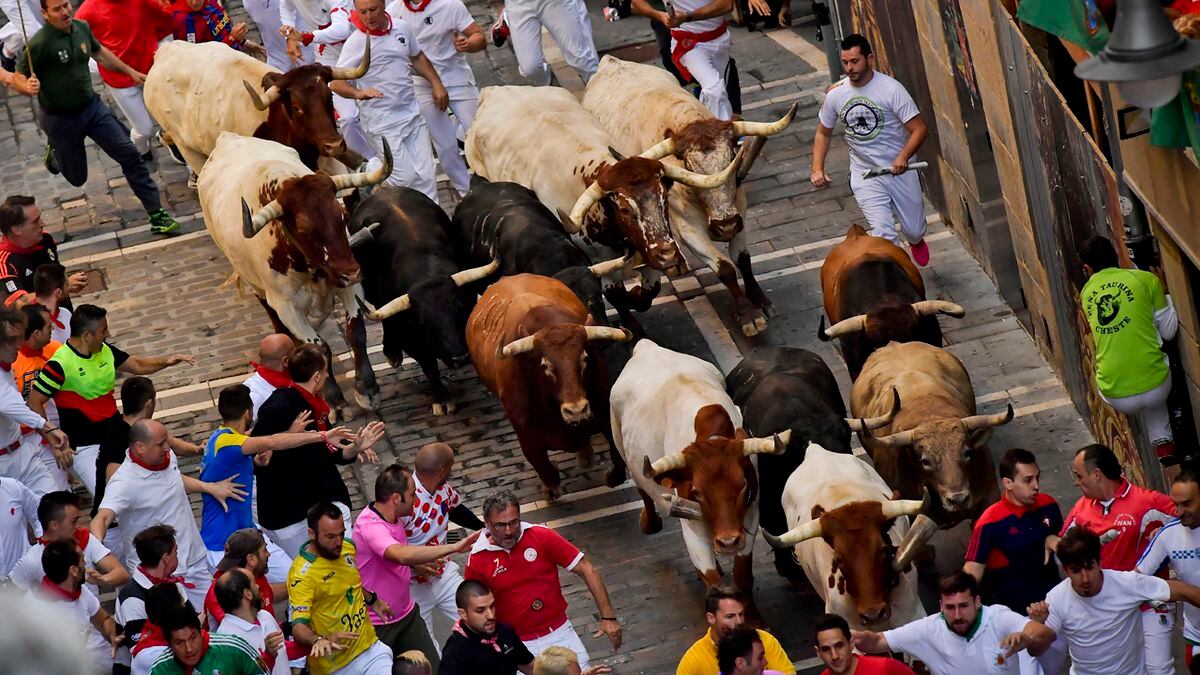 Featured image of post Bulls Animal Running / For example, the texas state has the bull.