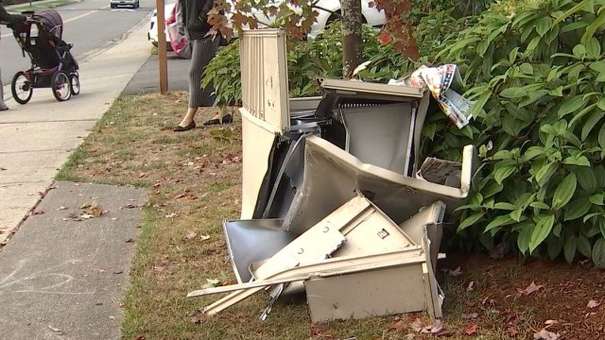 Dozens of mailboxes destroyed in Everett community