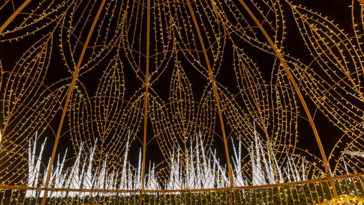 World's largest Christmas light maze coming to Seattle