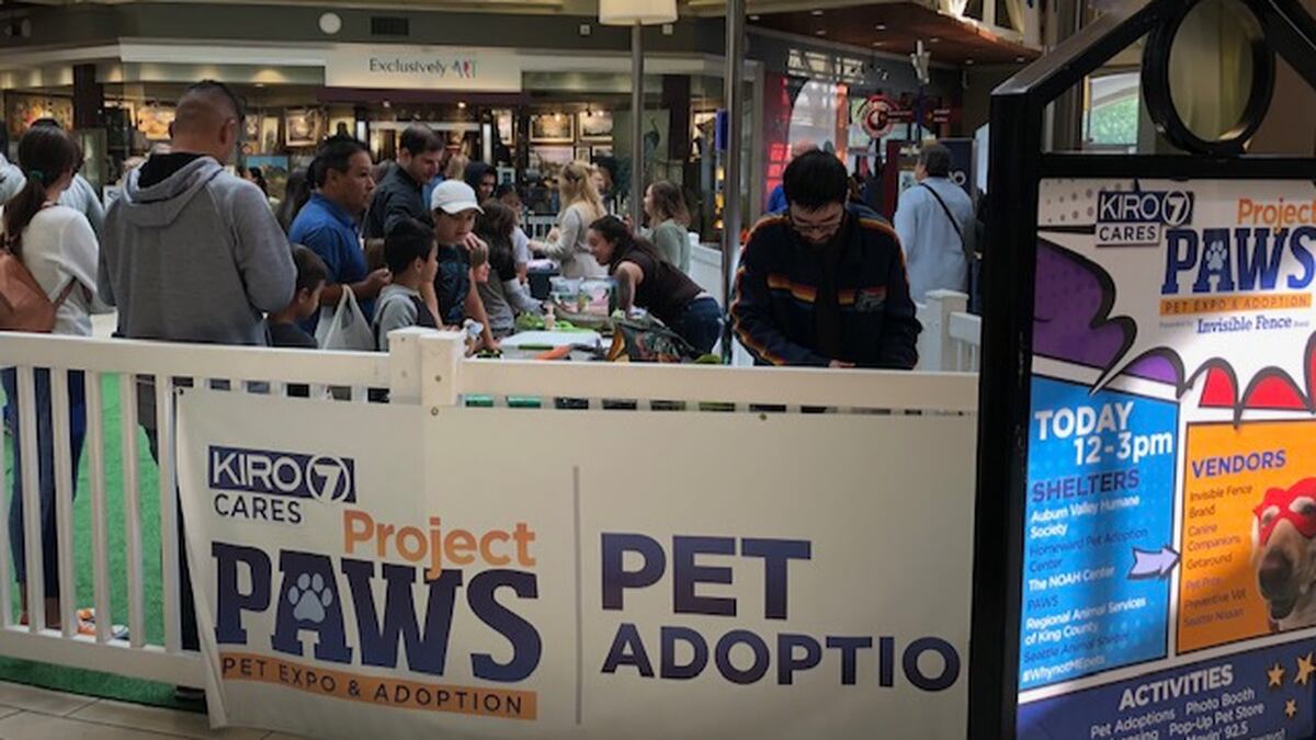 Thousands of people visit Project Paws Pet Expo & Adoption ...