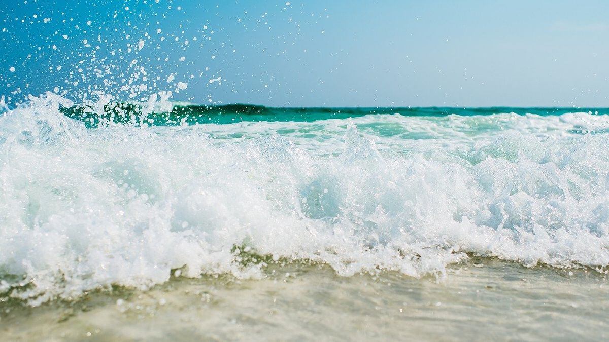 Tides reveal remains of 100-year-old shipwreck along North Carolina beach 