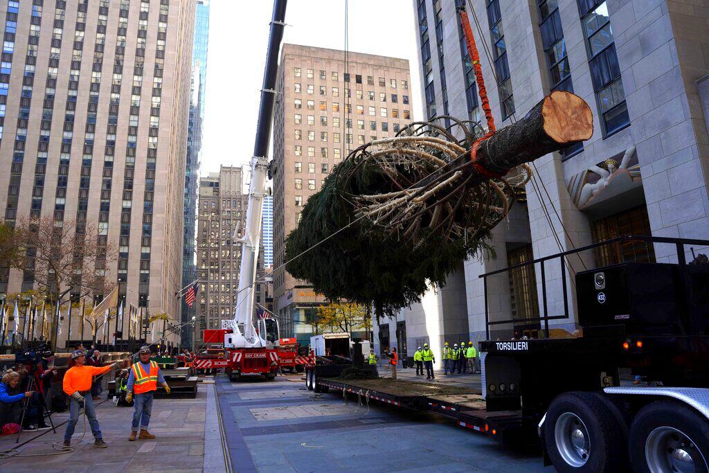 Photos 2021 Rockefeller Center Christmas Tree Arrives Kiro 7 News Seattle