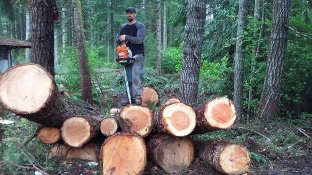 Men charged with starting fire while stealing trees from Olympic
