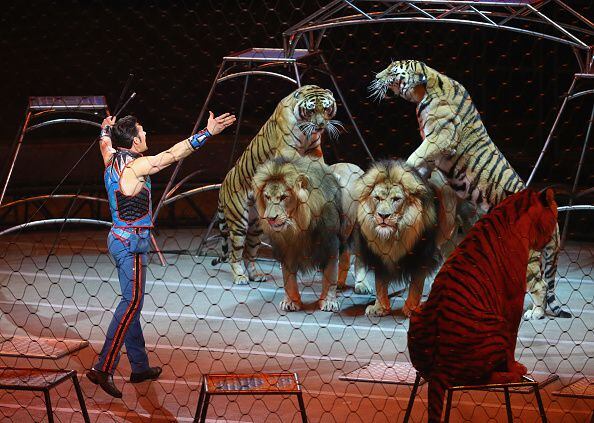 Ringling Calendar 2023 The Greatest Show' Is Back; Ringling Bros. To Return In 2023 With Changes –  Kiro 7 News Seattle