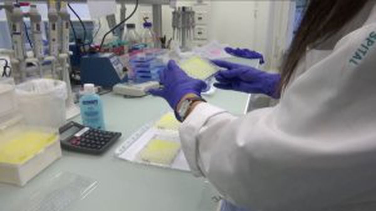 Coronavirus: Oxford University says it may have vaccine by year's end