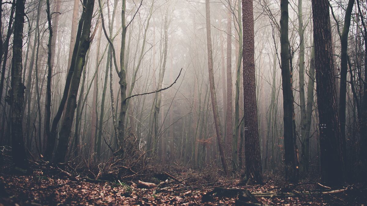 Mysterious photo of girl caught on trail camera that spooked town not a spirit, report says
