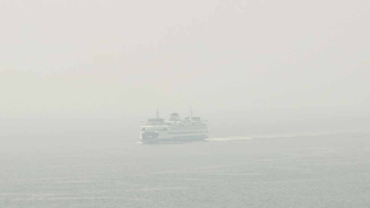 Washington health officials: Don't vacuum during smoky air without HEPA filter