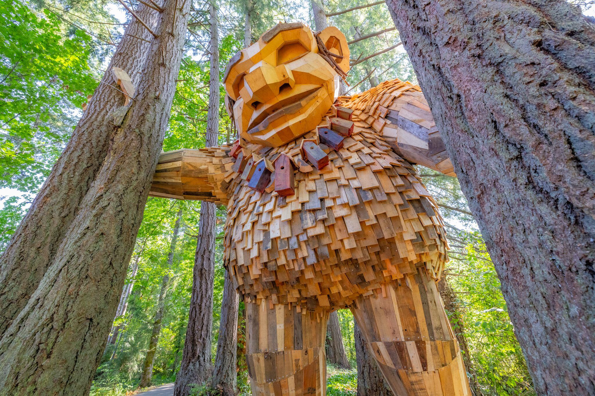 Where to find the Jakob Two Trees troll in Issaquah – KIRO 7 News