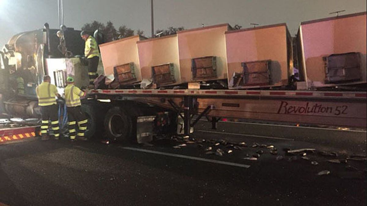 Fish spill on roadway after semitrucks crash in Florida