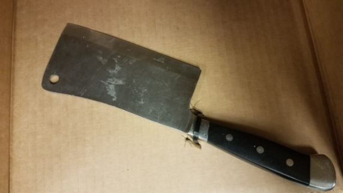 Drugs, meat cleaver and more seized in downtown Seattle drug emphasis ...