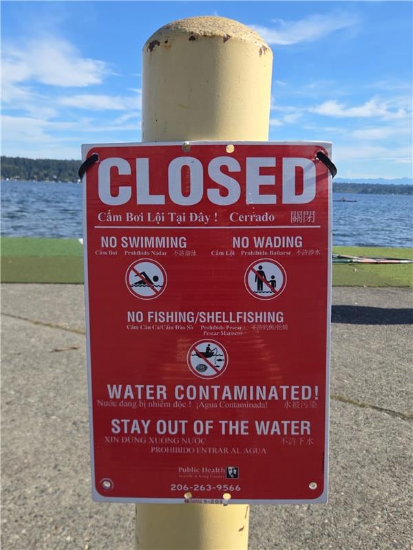 Sewage overflow near Matthews Beach